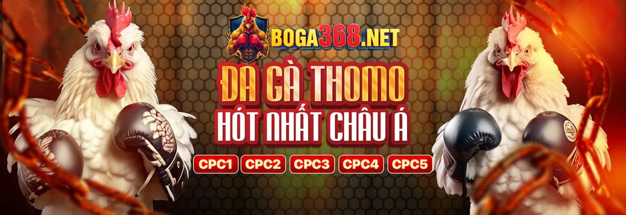 Hình ảnh chủ đạo về cờ bạc có trách nhiệm tại de88 chính thức